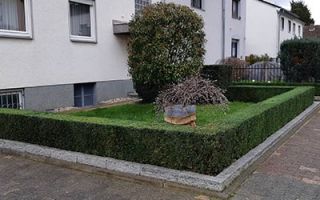 baume fallen frankfurt Garten- & Landschaftspflege Willi Möller