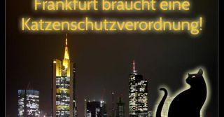 hamster adoption frankfurt Tierschutzverein Schwalbach & Frankfurt West e.V.