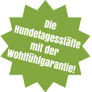 hundetagesstatte frankfurt Huta Frankfurt