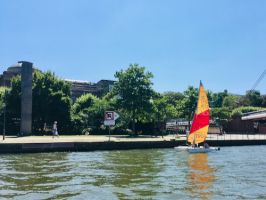 Segelboot auf dem Main in Frankfurt vor dem Städel Museum