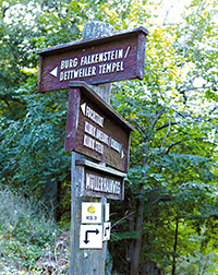 kostenlose wandertouren frankfurt Heilklimapark Hochtaunus