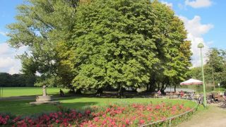 Blumenbeet im Ostpark  Stadt Frankfurt am Main, Foto: Grünflächenamt