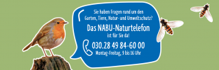 kotanalyse frankfurt NABU Eppstein e.V.