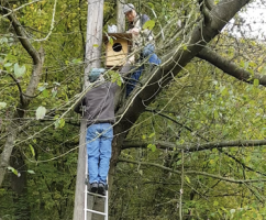 Nistkasten für den Waldkauz (Foto: Sabine Maurer)