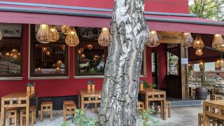 vietnamesische restaurants frankfurt Hanoi Quan