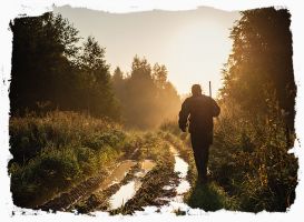 falknerei kurse frankfurt Jagdschule Hessen | Jagd & Falknerei Schünemann