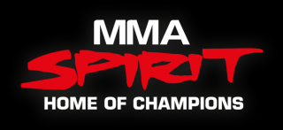 mma klassen frankfurt MMA Spirit | Home of Champions