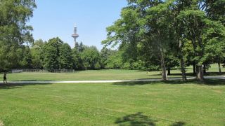 Grüneburgpark mit Blick auf Europaturm  Stadt Frankfurt am Main, Foto: Grünflächenamt