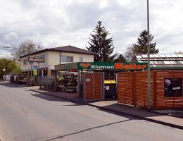 prasenzkurse im gartenbau frankfurt Gartenbau und Gärtnerei Blumen Woller