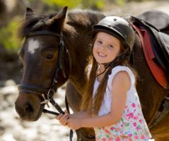 ponyreitplatze in der nahe frankfurt Reitstall Woggon