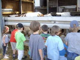 Kinder auf dem Bauernhof