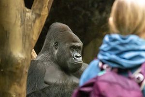 Zoobesuch planen