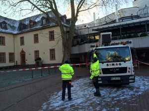 baume beschneiden frankfurt Baum- und Gartenpflege Alexander Kraus