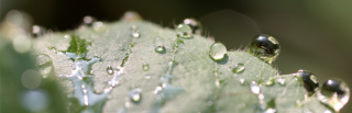 Umweltgiften auf der Spur - Henner Hollert erforscht toxische Einflüsse auf Mensch, Umwelt und Biodiversität